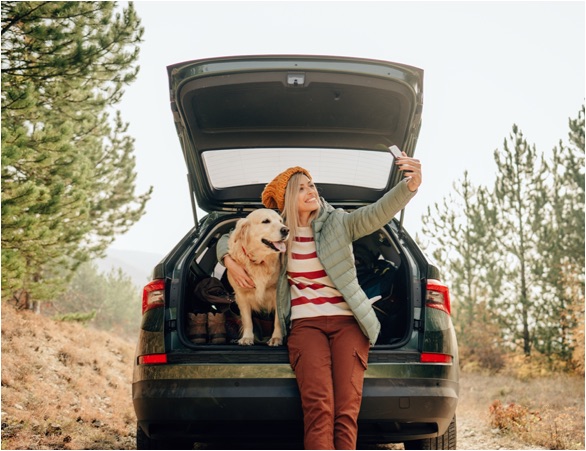 person taking picture with dog in car